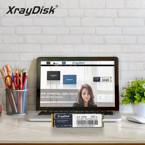 Disque Dur SSD XrayDisk M2 NVMe 256 GB - TRES PUISSANT