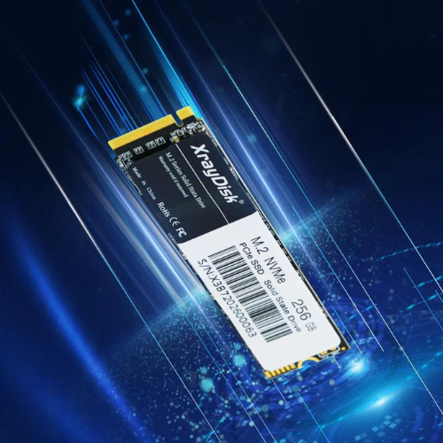 Disque Dur SSD XrayDisk M2 NVMe 256 GB - TRES PUISSANT